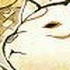 Meet your Posher, Ava